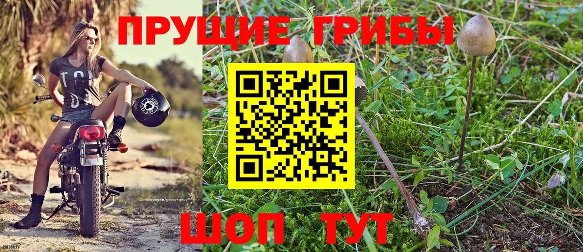 Галлюциногенные грибы Cubensis Ижевск