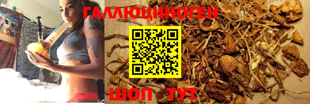 МАРИХУАНА  Конопля  Меф МЯУ МЯУ   ГАШ  Гашиш  Ижевск  Вход с VPN 