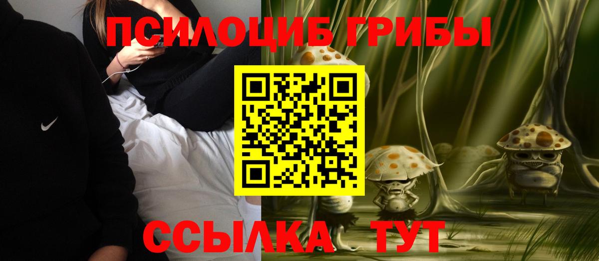 Ижевск  Псилоцибиновые грибы GOLDEN TEACHER  Вход с VPN  Галлюциногенные грибы мицелий 
